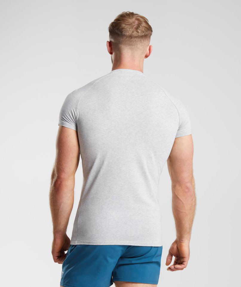 Men's Gymshark Apollo T-Shirts Light Grey | NZ 8TIWLH